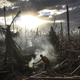Illustration for article titled The finalists for 2014s Sony World Photography Awards are outstanding
